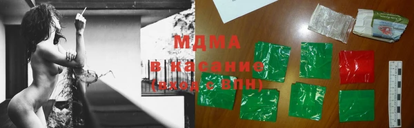 стаф Алзамай