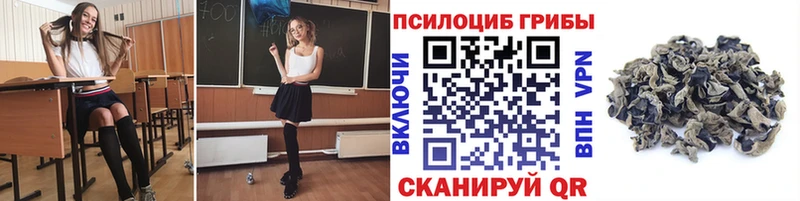 Псилоцибиновые грибы ЛСД наркотики Березники