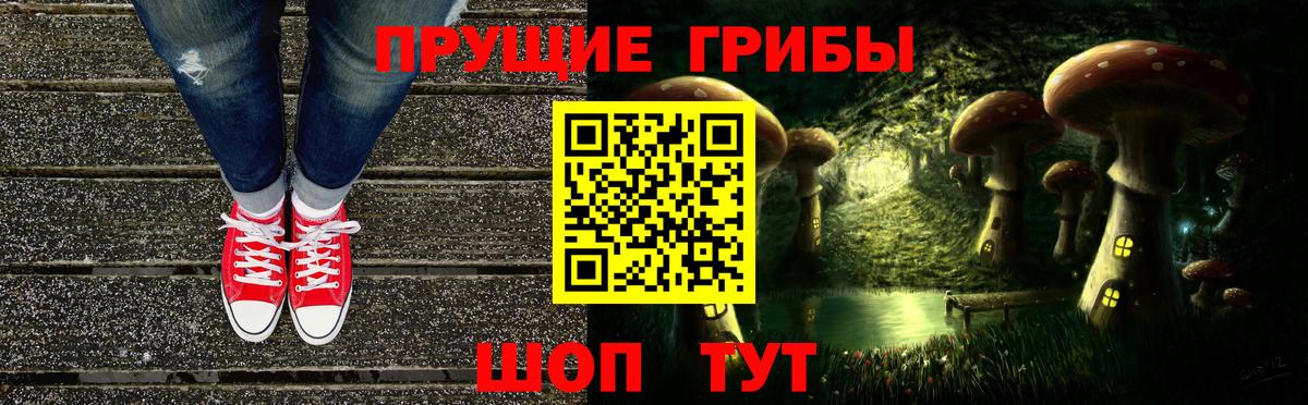 Псилоцибиновые грибы Psilocybe  купить  цена  Березники  Вход с VPN  Галлюциногенные грибы Cubensis 